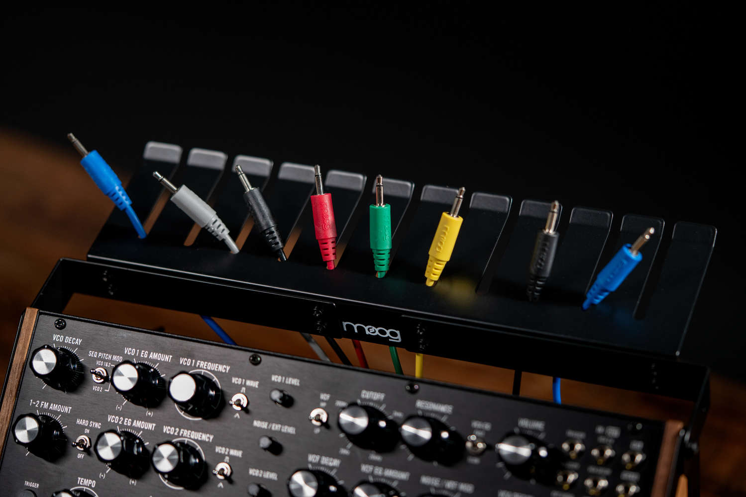Moog Sound Studio Subharmonicon & DFAM | Moog